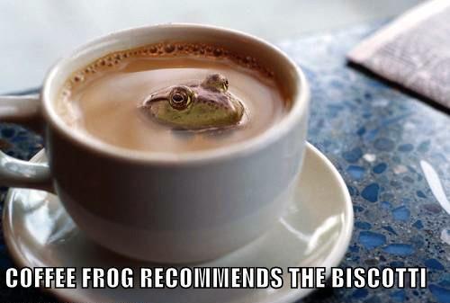 coffeefrog